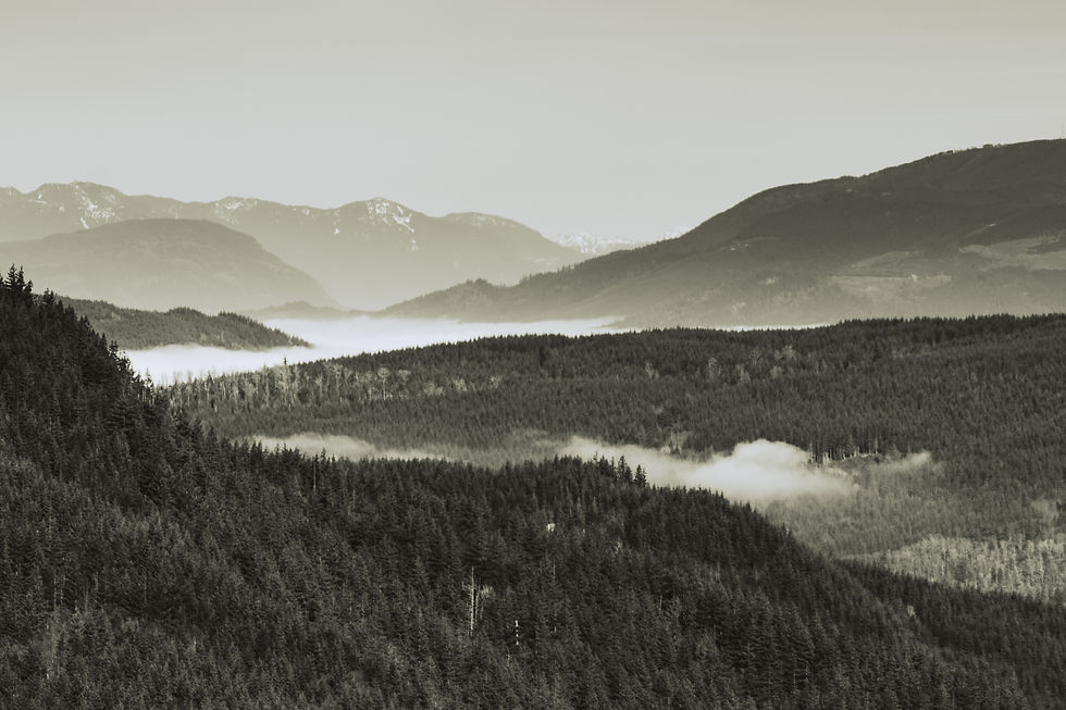 landscape.jpg