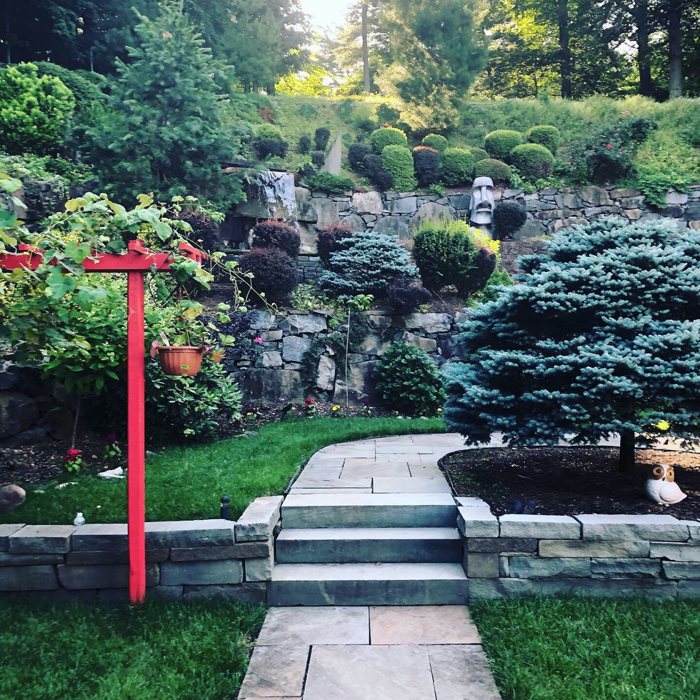 6CD01E6E-A162-482E-AFFF-A5869B5420CF