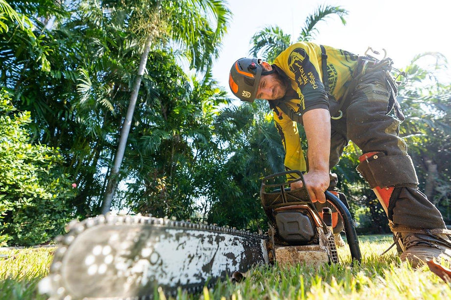 tree-services-darwin.jpg