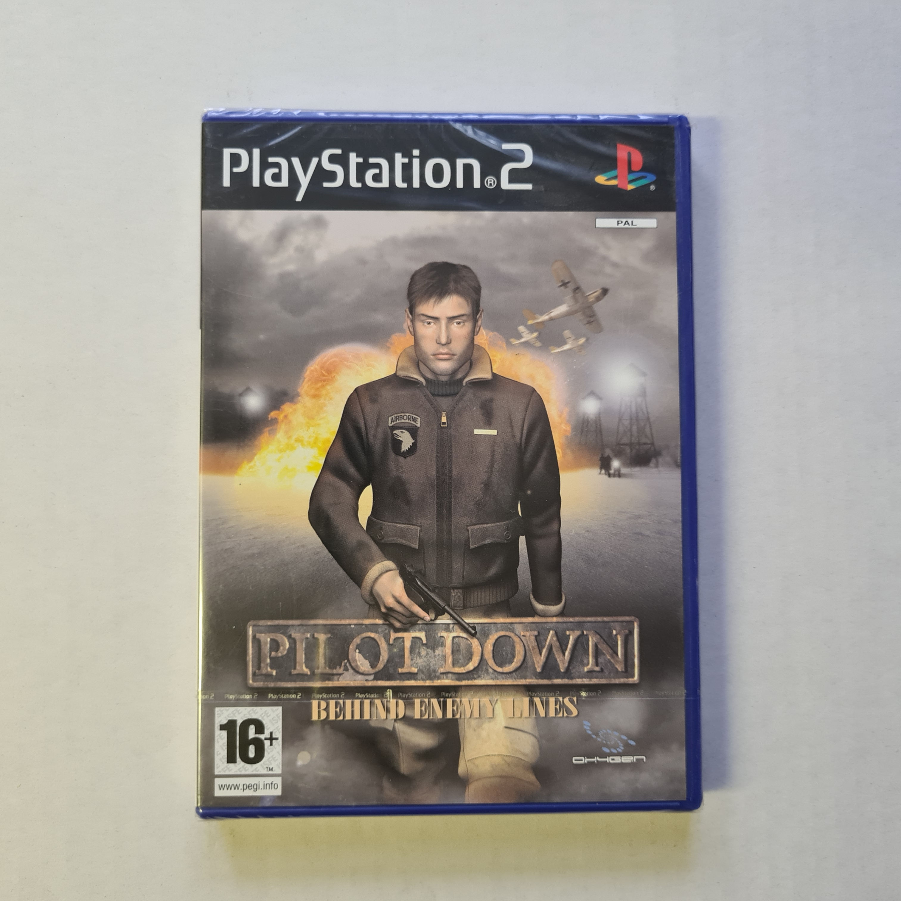 Pilot Down Behind Enemy Lines