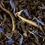 Thumbnail: Earl Grey Yin Zhen 100g Tin