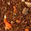 Thumbnail: ROOIBOS CARROT CAKE  ROOIBOS | CINNAMON, GINGER, CARROT, ALMOND, PECAN NUT, BISC