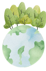 image-removebg-preview (14).png