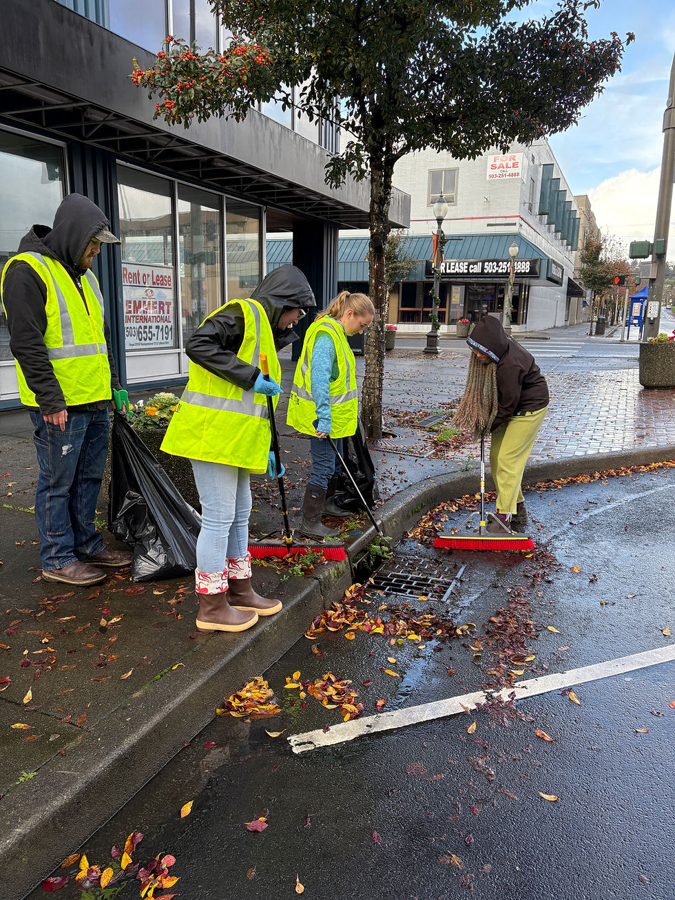 Hoquiam Storm Drain Marking