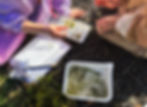 Macroinvertebrate ID Event