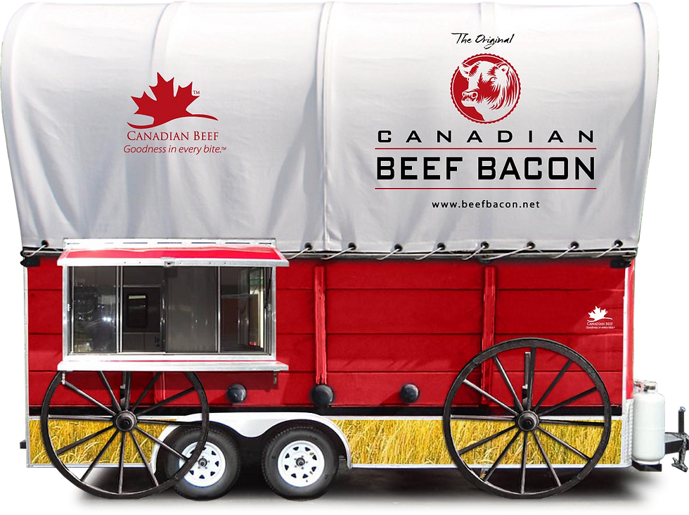 CUSTOM TRAILER CONVERSION