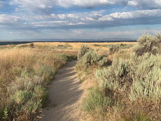 Why Leaders Need To Take A Hike