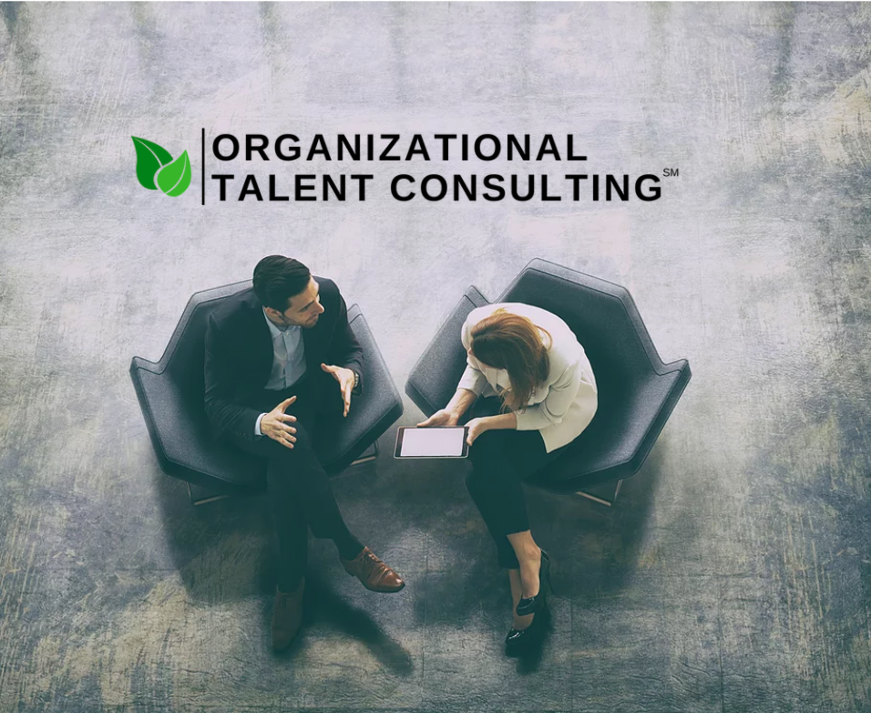 Executive Coaching For Ceos Senior Leaders West Michigan