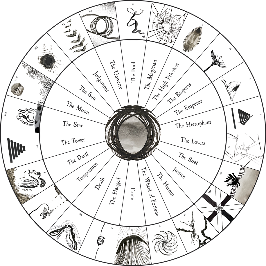 website oracle capsule.png