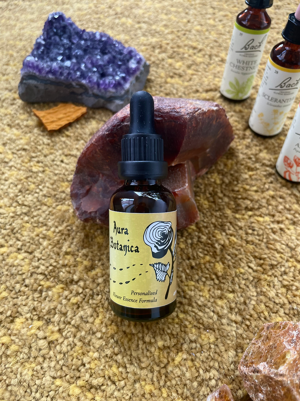 Thumbnail: Aura Botanica