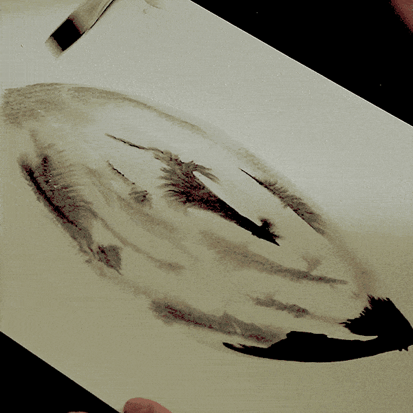 Video of the reaction of chinese ink in water 
