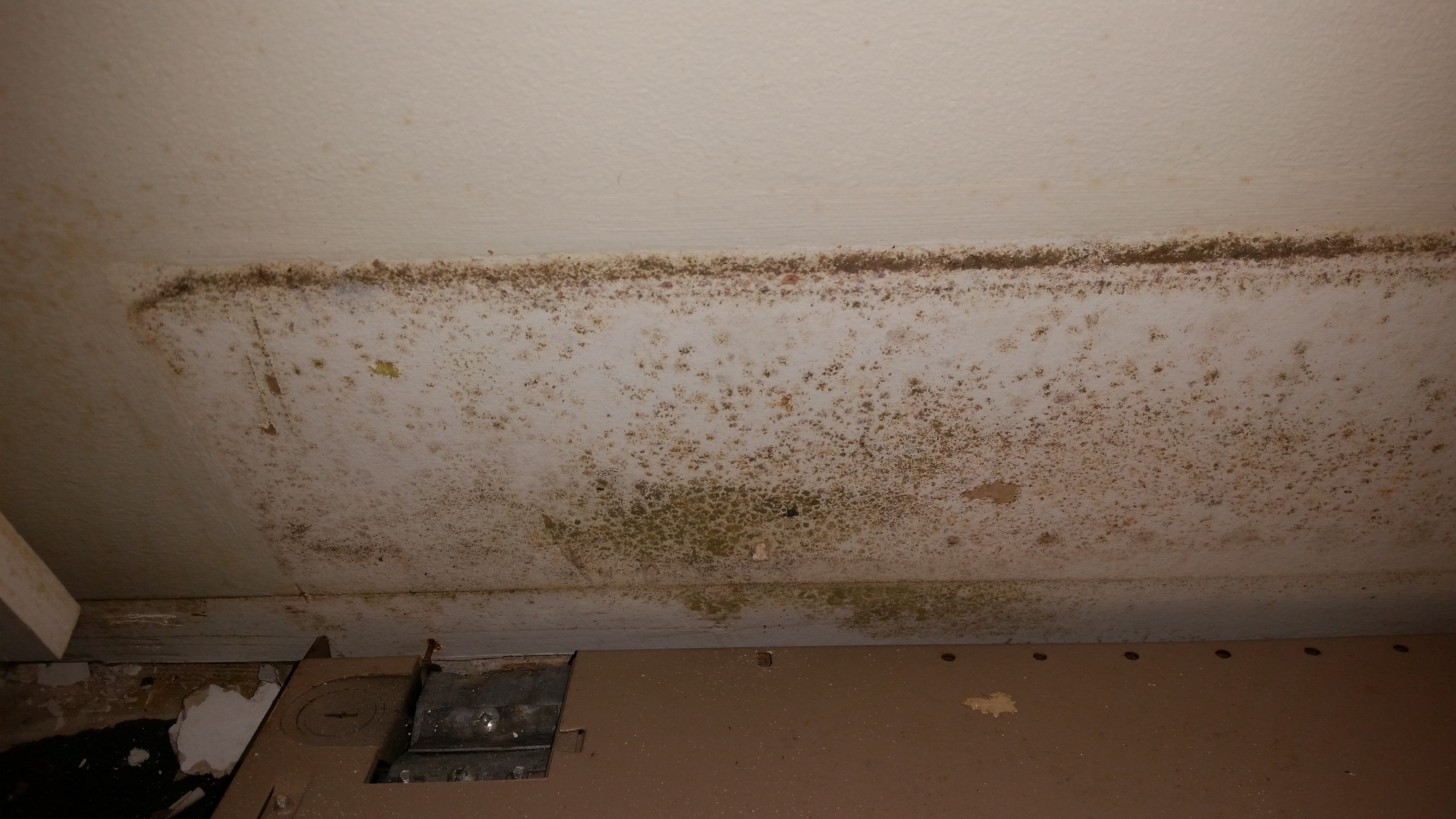 Mould Remediation Winnipeg River City Environmental Mould Remediation Winnipeg