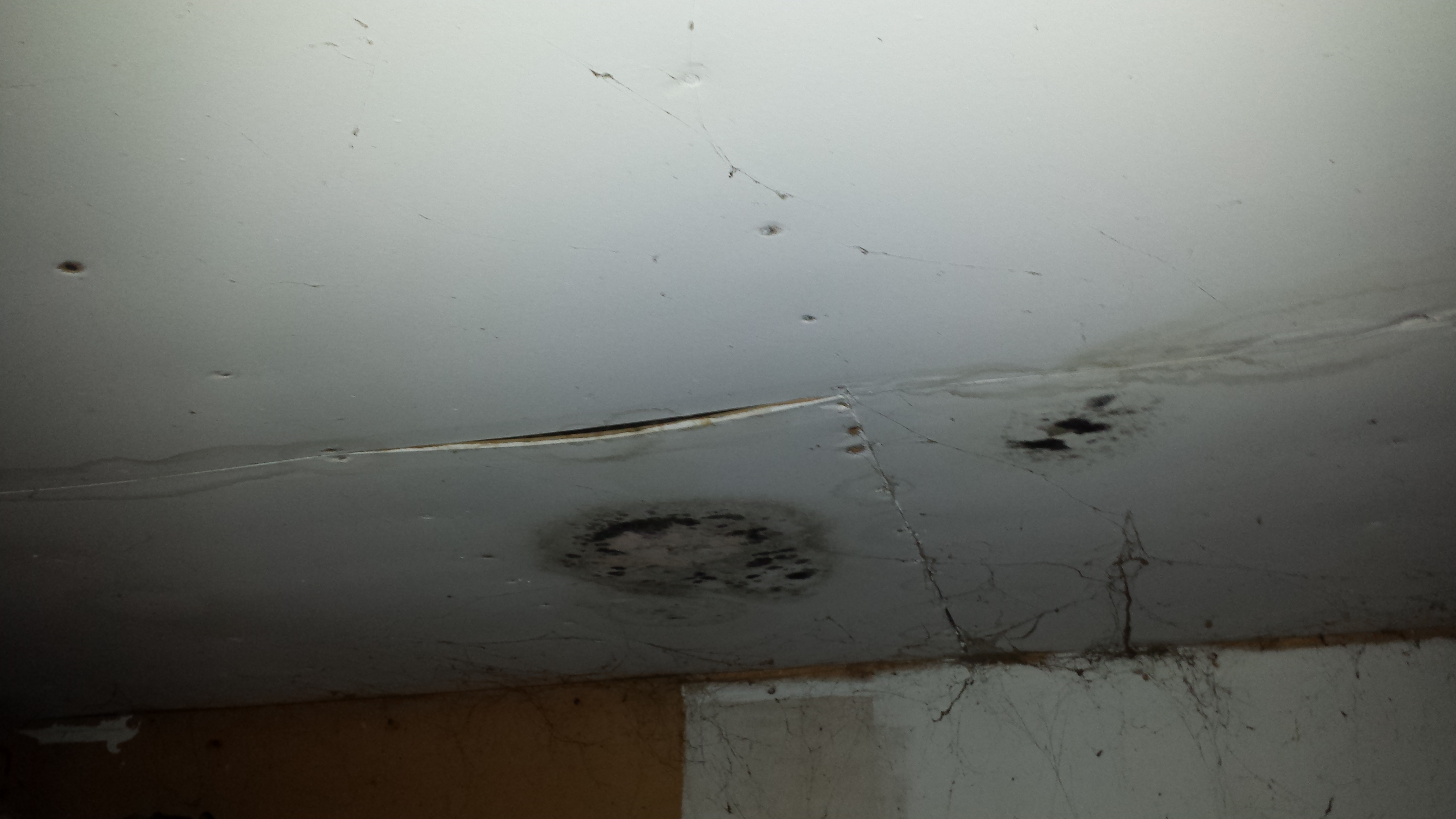 Asbestos Abatement Winnipeg River City Environmental River City Inspection Environmental Is A Certified Company Providing Safe And Effective Asbestos Mould Removal In Winnipeg