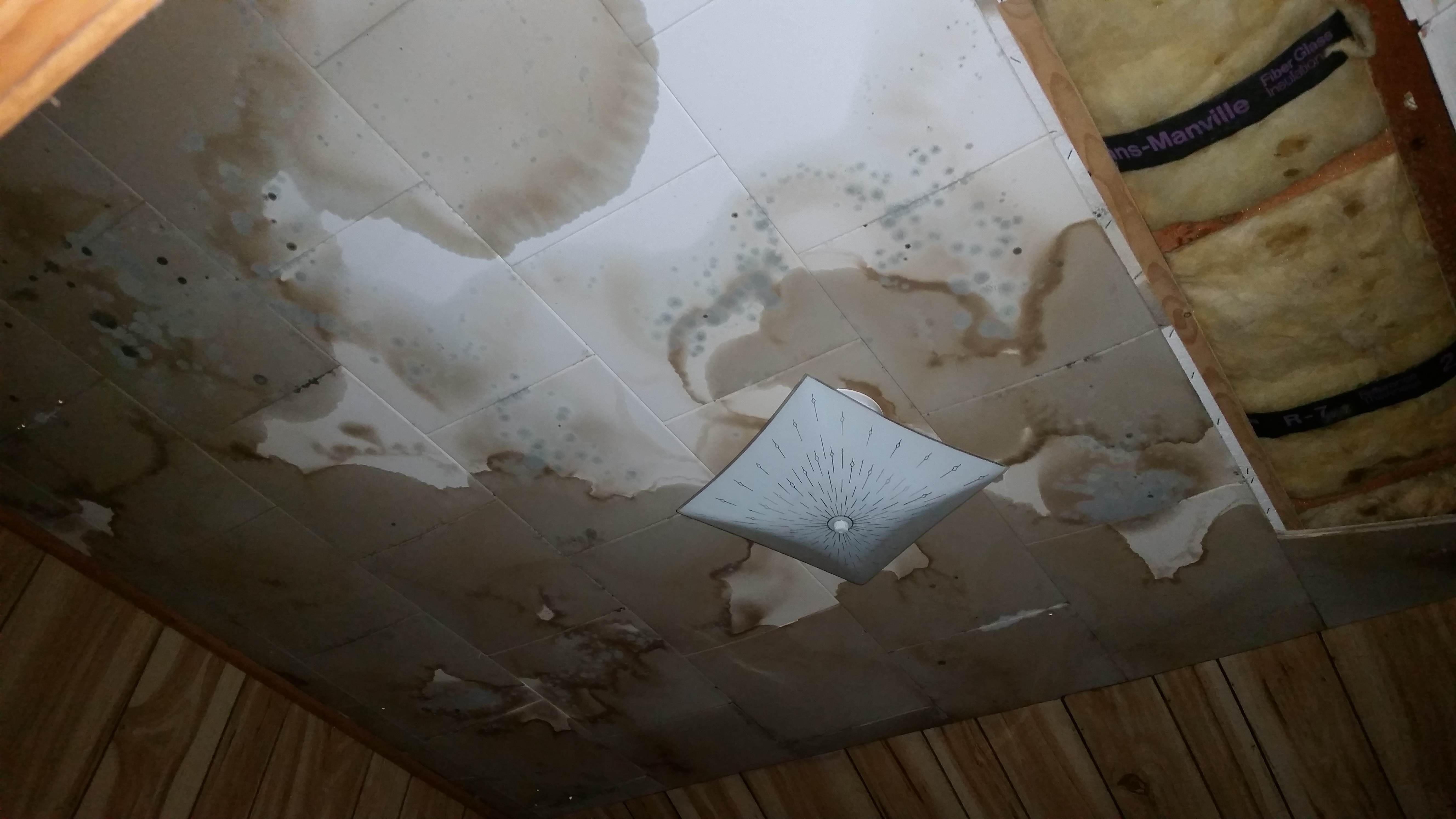 Mould Remediation Winnipeg River City Environmental Mould On Ceiling