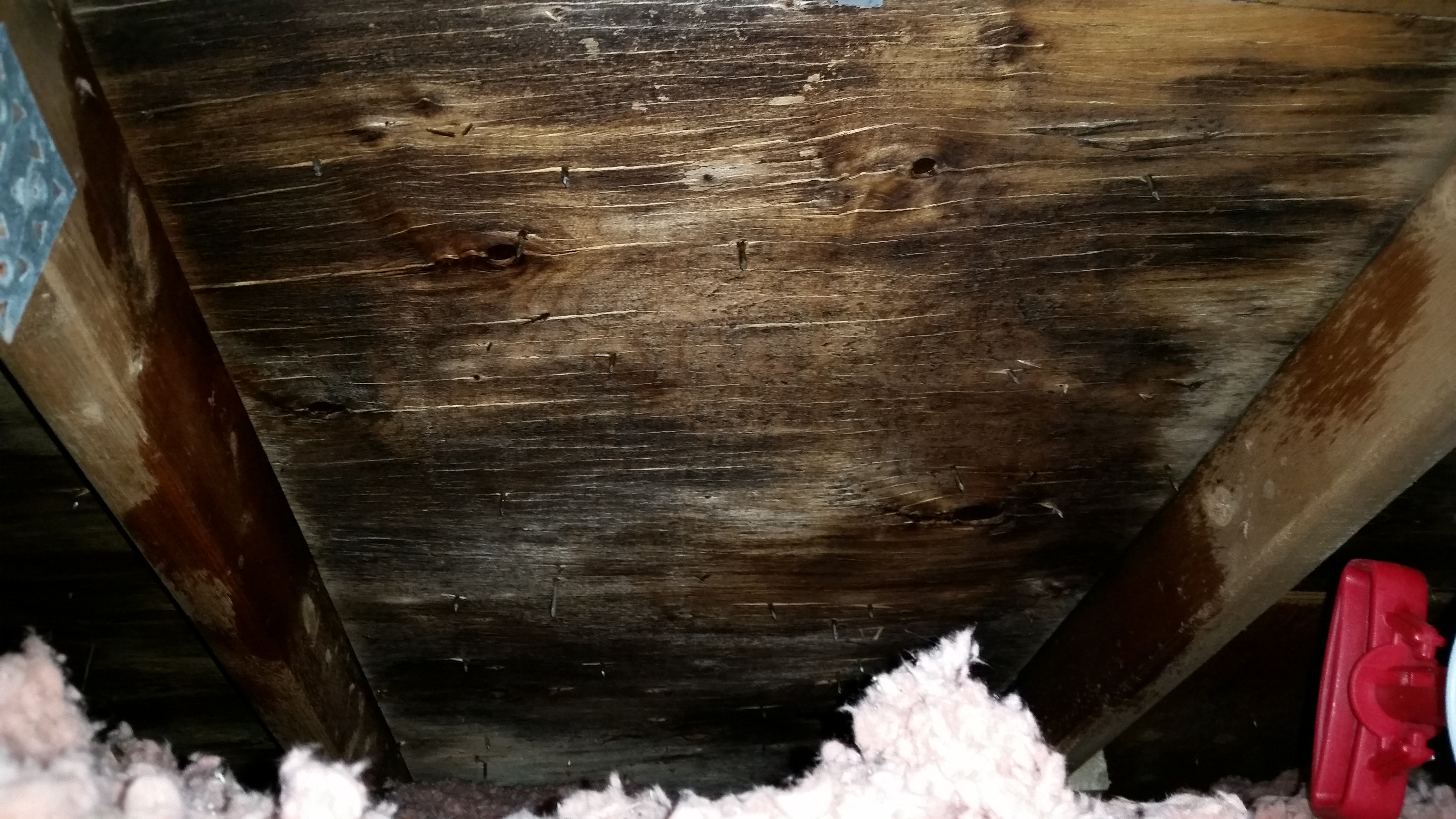 Mould Remediation Winnipeg River City Environmental Attic Mould Remediation Winnipeg