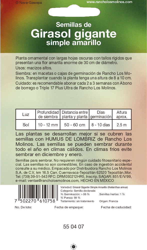 Miniatura: Girasol Gigante Simple Amarillo