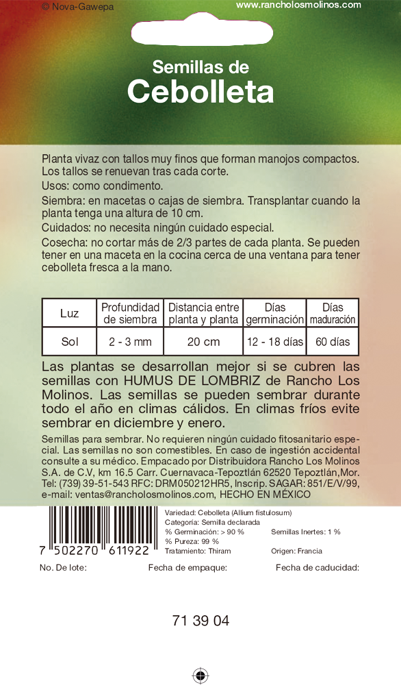 Miniatura: Cebolleta