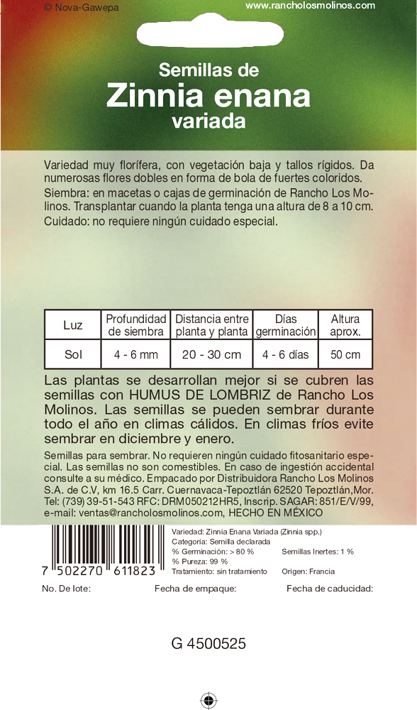 Miniatura: Zinnia enana variada