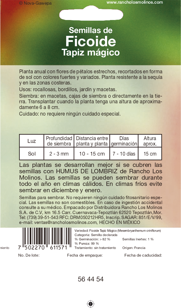 Miniatura: Ficoide Tapiz Mágico