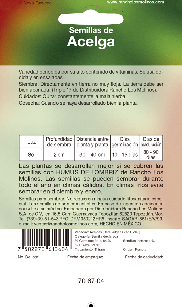 Miniatura: Acelga