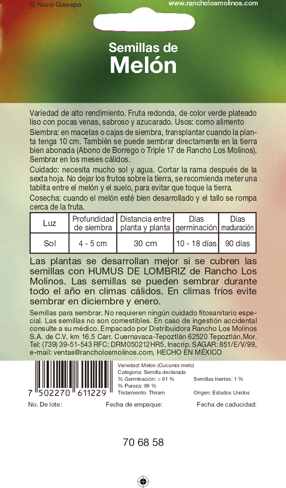 Miniatura: Melón