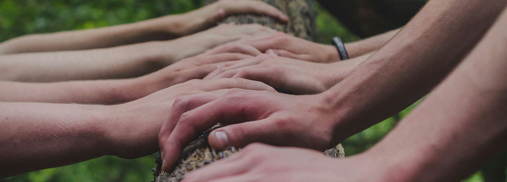 Hands united on tree trunk promoting sustainability, community, respect for nature, Amrichi provides premium flavouring.