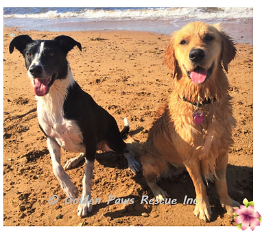 Holly and Harry Sept 2020 (2).png