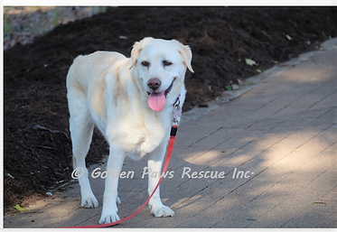 Daisy Sun 16-5-2021 (5).png