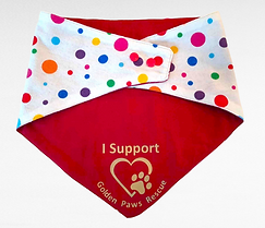 Bandanas for Website 18-7-23 (4)-PhotoRoom (2).png