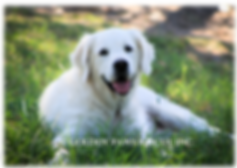 Marley Professional Pics 21-3-2020 (4).p