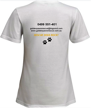 Vistaprint Supporters Tee Shirt 2020 (2)