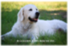 Marley Professional Pics 21-3-2020 (6).p