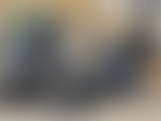 Kawasaki ヴェルシス1000SE