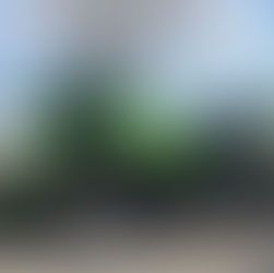 Kawasaki Z900RSカフェ