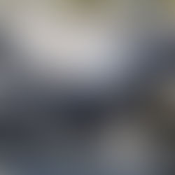 SUZUKI Vストローム1000