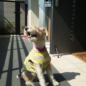 新年明けまして おめでとうございます