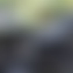 トライアンフ ストリートスクランブラー