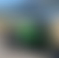 Kawasaki　Ninja1000