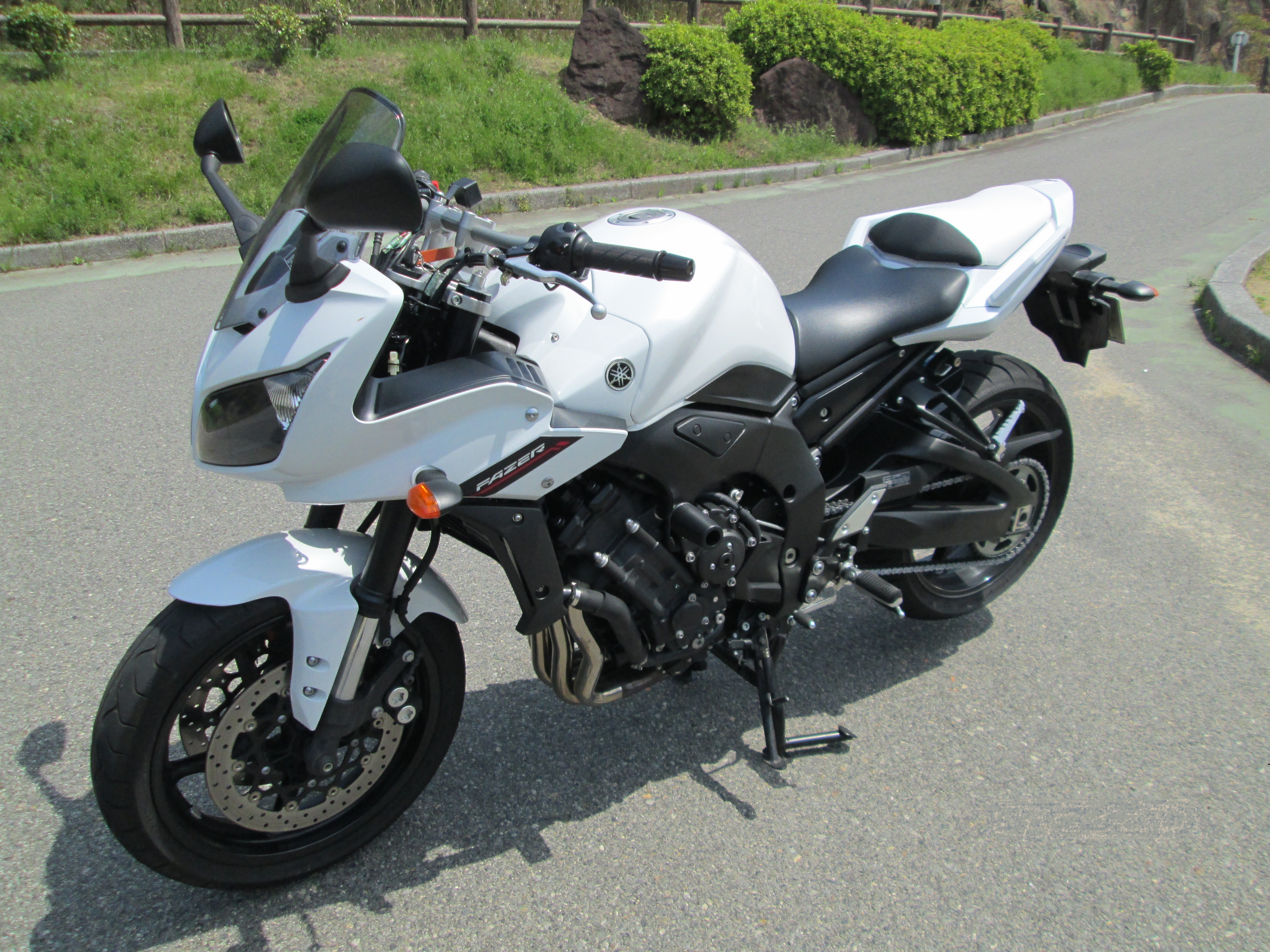 fz1