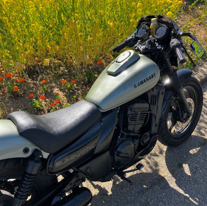 Kawasaki エリミネーター