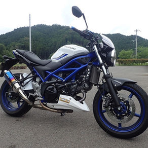 SUZUKI SV650