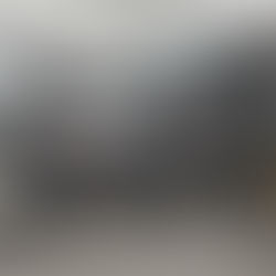 HONDA ホーネット250