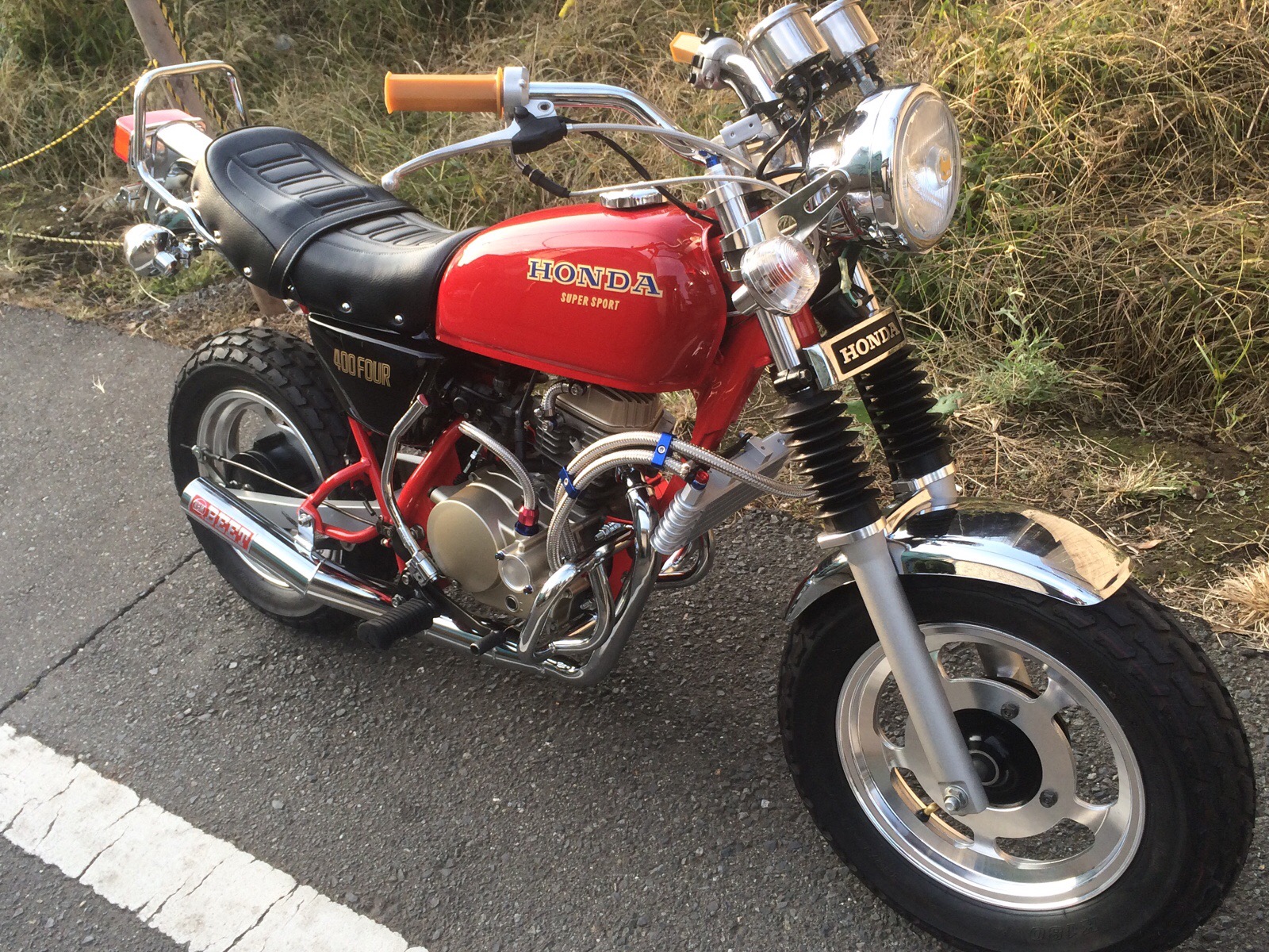 ape50_h