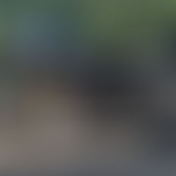 トライアンフ スラクストン1200RS