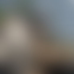 富士重工 ラビット