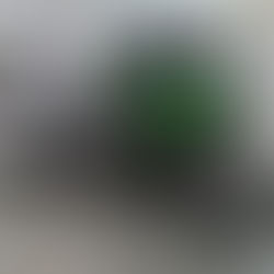 Kawasaki　Ninja1000SX