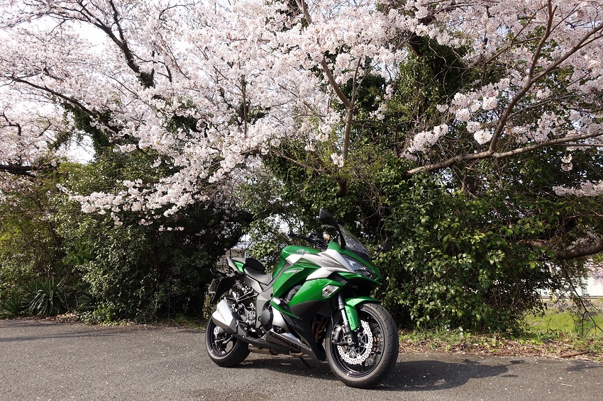 ninja1000_k