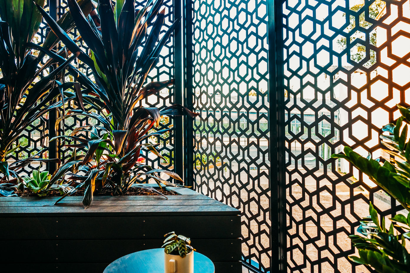 Patterned screen with cutouts revealing the outdoor landscape
