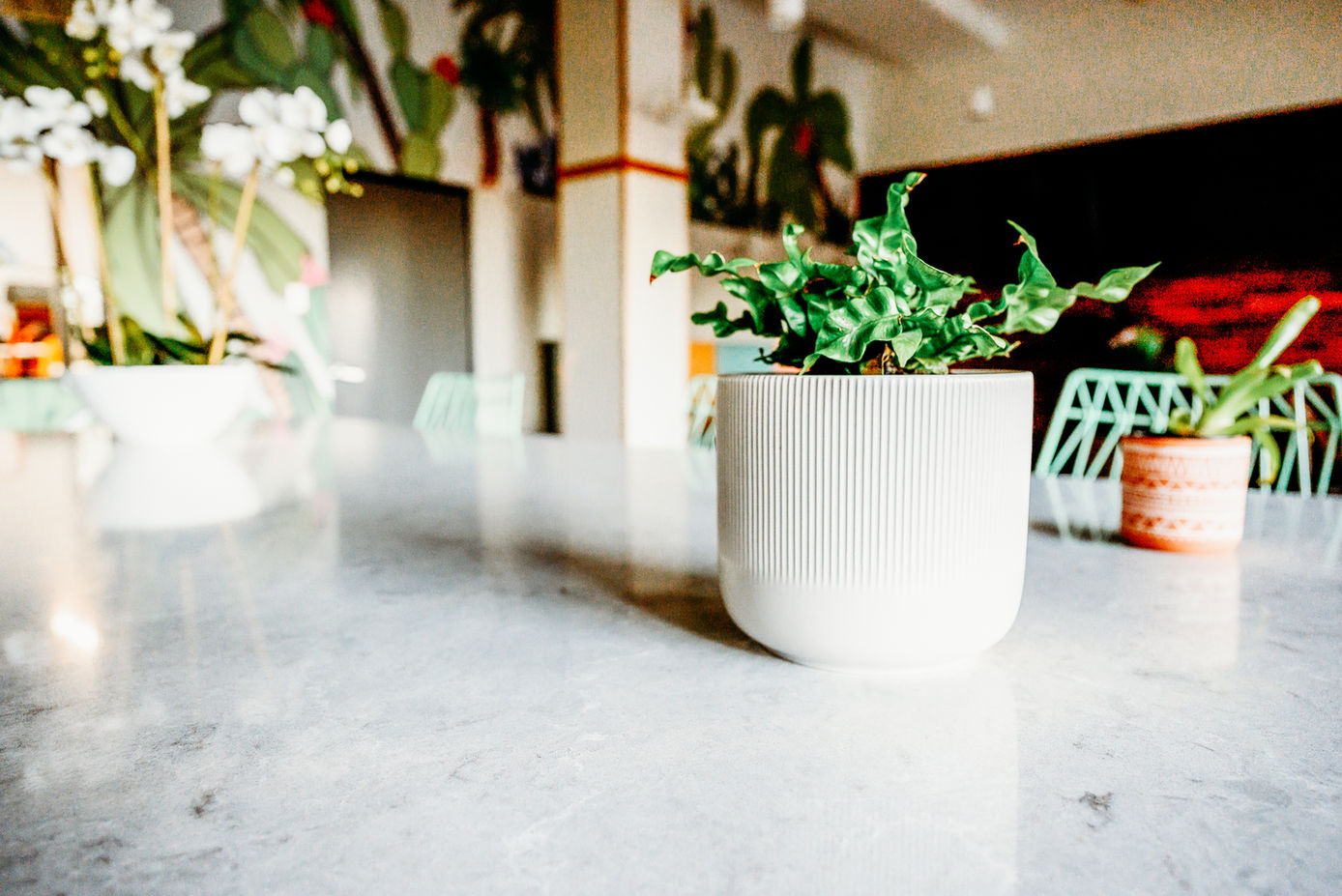 Close-up of a vase with a plant placed on a table