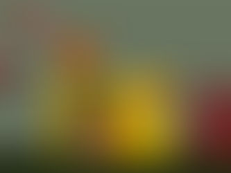 Flammable liquids storage cabinet on a farm with labeled bottles and a warning sign.